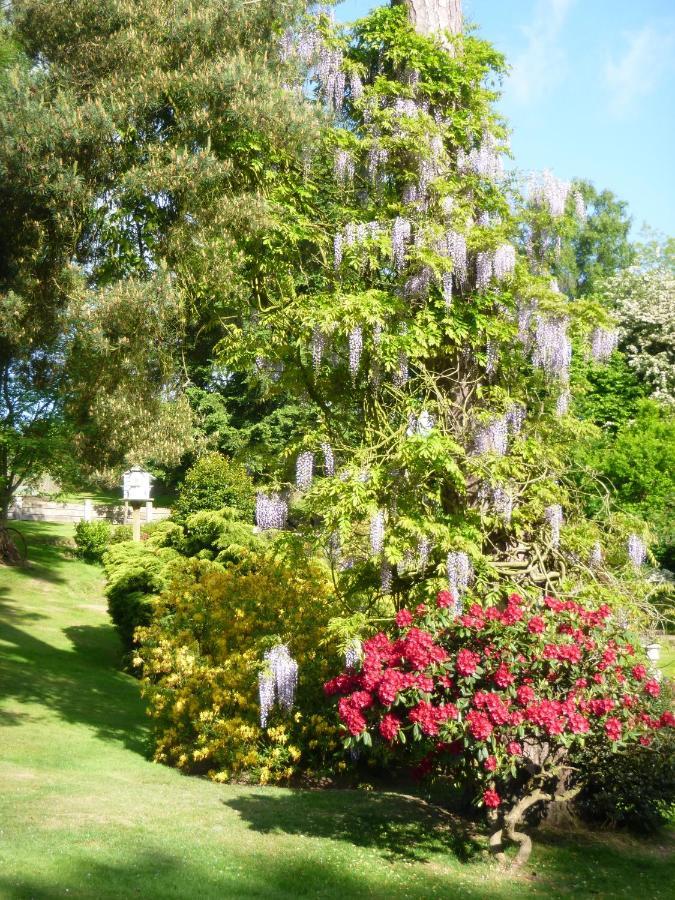 Chart House Bed And Breakfast Dorking Exterior foto